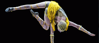 FESTIVAL INTERNACIONAL DE CIRC